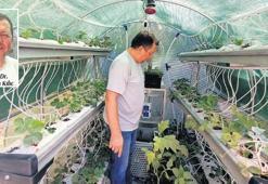 Gıdaya ulaşım sorununa organik çözüm