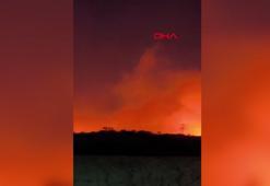 Diyarbakır’da 3 noktada örtü yangını