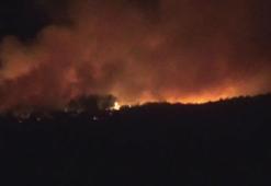 Çanakkale'de çıkan orman yangınına karadan müdahele başladı