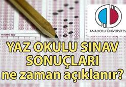 AÖF YAZ OKULU SINAV SONUÇLARI ne zaman açıklanır? Açıköğretim Fakültesi yaz okulu sınavı sonuçları nereden sorgulanır?