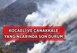 Çanakkale Gelibolu ve Kocaeli orman yangınında son durum ne? Yangınlar söndürüldü mü, kontrol altına alındı mı?