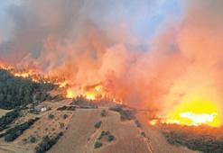 Gelibolu yanıyor