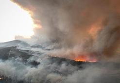 Çanakkale’de orman yangını 2. gününde: Gelibolu’dan Eceabat’a sıçradı, ekipler seferber oldu
