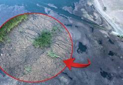 Tam 3 senedir kabusu yaşıyorlar! Köylüler şaşkın: 'Bir an önce çözüme kavuşsun'