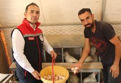 Hobi amaçlı başladı, devlet desteğiyle işini büyüttü: 'Siparişlere yetişemiyorum'