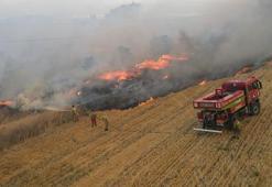 Yangınların yüzde 57’si orman dışı alanlarda başladı