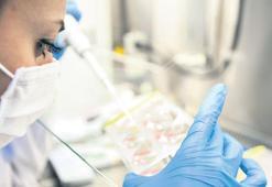 Patentte uluslararası başvuru arttı