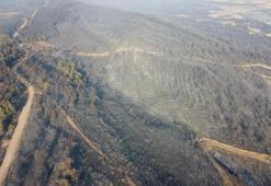 Gelibolu’daki yangının izleri havadan görüntülendi! Çanakkale ormanları küle döndü