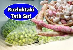 Buzluktaki tatlı sır! Dondurulmuş bezelye ve barbunyanın lezzetini korumak için ipuçları