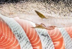 Balığın en değerli yerini yıllarca çöpe attık! Oysa kolajen deposu, gençleştiriyor