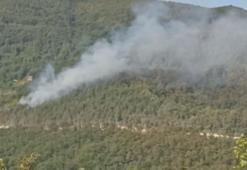 Sinop’ta çıkan orman yangınına müdahale ediliyor