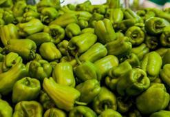 Kışa dolmalık biber depolayın! Yazdaki lezzetini aratmıyor, 2 yıl tazecik kalacak