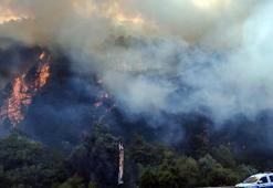 Bolu'daki orman yangını kontrol altına alındı