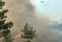 Muğla'da orman yangını kontrol altında
