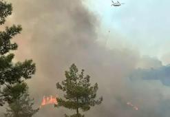 Muğla'da orman yangını! Alevler yerleşim yerine yaklaşıyor