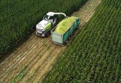 Japonya'dan Gana'ya 100 milyon dolarlık yapay zeka destekli tarım yatırımı