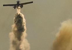 İzmir'de tarım alanında başlayan yangın ormana sıçradı