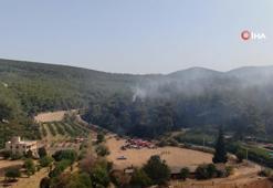 İzmir'de orman yangını