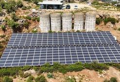 Antalya'da tropikal meyve bahçelerine kurulan GES enerji maliyetlerini düşürdü