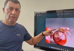 Karadeniz’den sonra bir kenti daha istila etti! ‘Bunların yok edilmesi gerekiyor’