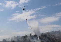 Kocaeli'de yangın! Havadan ve karadan müdahaleyle kontrol altında