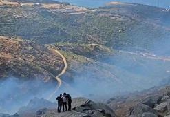 Marmara Adası'nda orman yangını kontrol altında