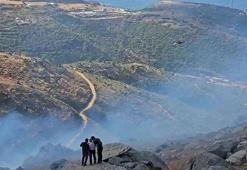 Marmara Adası'ndaki orman yangınına müdahale sürüyor