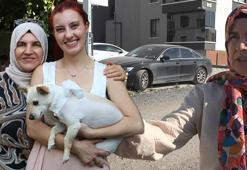 Ankara’da kangal dehşeti! 'Sahibi vurunca daha da hırçınlaştı'