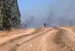 Bir kıvılcım yetti! Silivri'de alevler otluktan ormana sıçradı