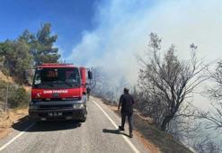 İzmir'in Seferihisar ilçesinde orman yangını kontrol altına alındı