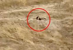 Tekirdağ'da uygunsuz hareketler sergileyen iki genç gözaltına alındı