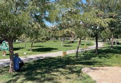 Termometreler çıldırdı! Kentte sıcaklık 49 dereceye ulaştı