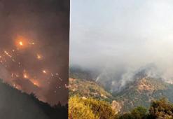 İki ilde orman yangını! Alevler yön değiştirdi, ilçeyi tehdit ediyor
