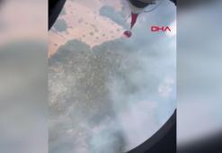 Balıkesir'de orman yangını