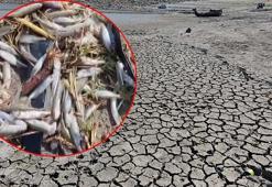 Bursa’da kriz! Muhtar uyardı: Son 10 günde su fazlasıyla tüketildi