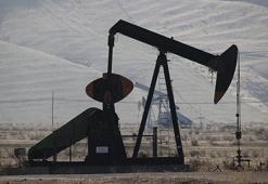 Petrol ağustos ayını kayıpla kapattı