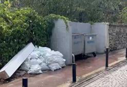 Beşiktaş’ta dehşet! Yanık ve kesik izleri olan bebek cesedi çöpte bulundu