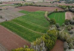 Arazi sahipleri dikkat! Devletten kiralık tarla dönemi başlıyor