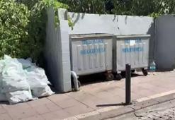 Yeni doğan bebeğini çöpe atıp alışverişe gitti