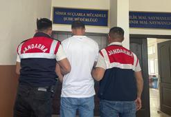 MİT'ten siber dolandırıcılık şebekesine operasyon