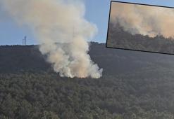 Ataşehir'de orman yangını söndürüldü