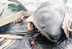 ‘Jaws’ın dişleri hâlâ güçlü