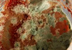 Salça küflenmesinin en büyük ilacı! Yüzeyini kaplayarak koruyor