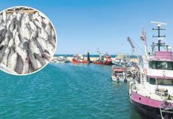 Balık bol tayfa yok