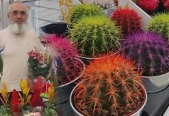 Her şey bir kaktüs ile başladı! Almanya'dan Rize'ye döndü: 'Haritalardan bizi bulup geliyorlar'