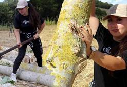 Türkiye’de bu işi yapan tek kadın! Kenti karış karış dolaşıyor: 'Yapamazsın' dediler, yaptım