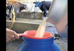 Süt sektöründe 39 teşebbüse ‘zorunlu yem’ soruşturması