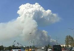 Bursa’da orman yangını kontrol altında