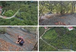 File örtüyle yapılan fındık hasadı üreticinin yükünü hafifletiyor