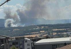 Çanakkale’de orman yangını! 2 lise tahliye edildi